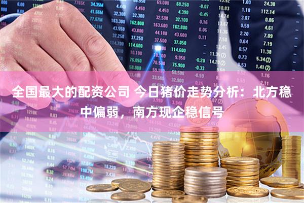 全国最大的配资公司 今日猪价走势分析：北方稳中偏弱，南方现企稳信号
