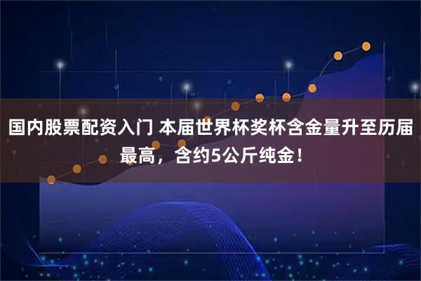 国内股票配资入门 本届世界杯奖杯含金量升至历届最高，含约5公斤纯金！